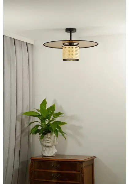 Lustră aplicată TOKYO Duolla RATTAN 1xE27/15W/230V d. 50 cm auriu/ratan
