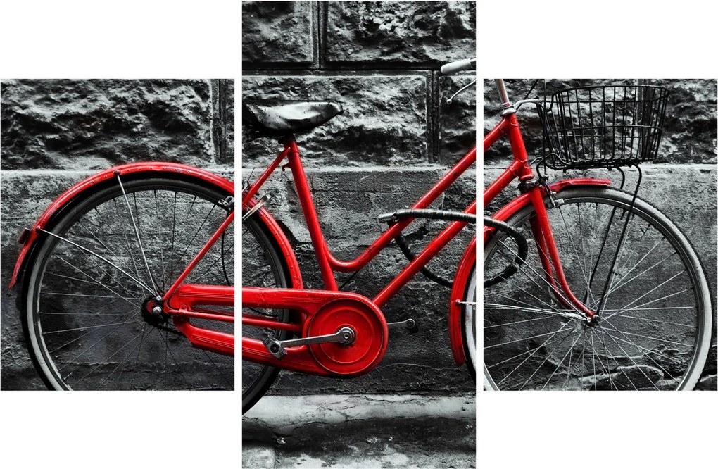 Tablou - Bicicleta istorică (90x60 cm)