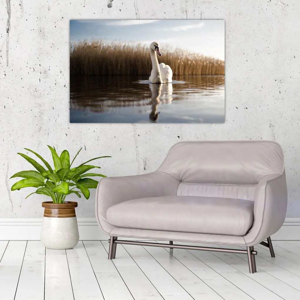 Tablou cu lebăda (90x60 cm)