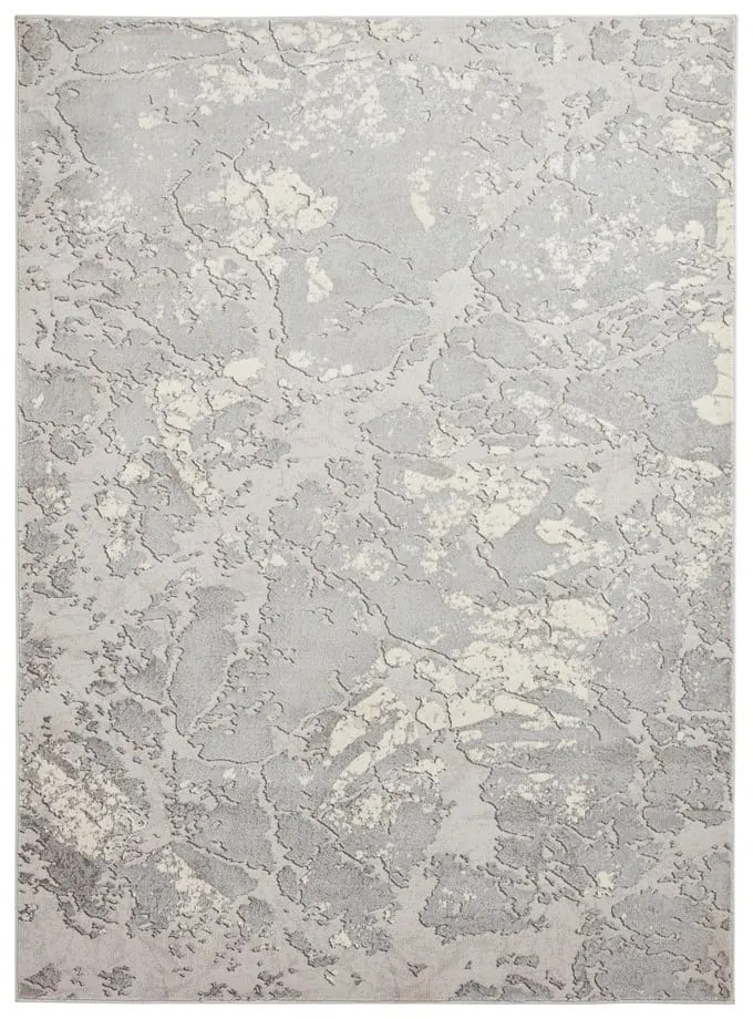 Covor gri/bej 220x160 cm Apollo - Think Rugs