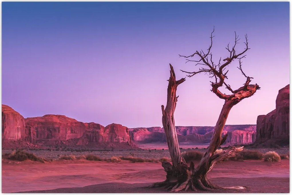 Tablou u copaci lângă pietrile roșii (90x60 cm)