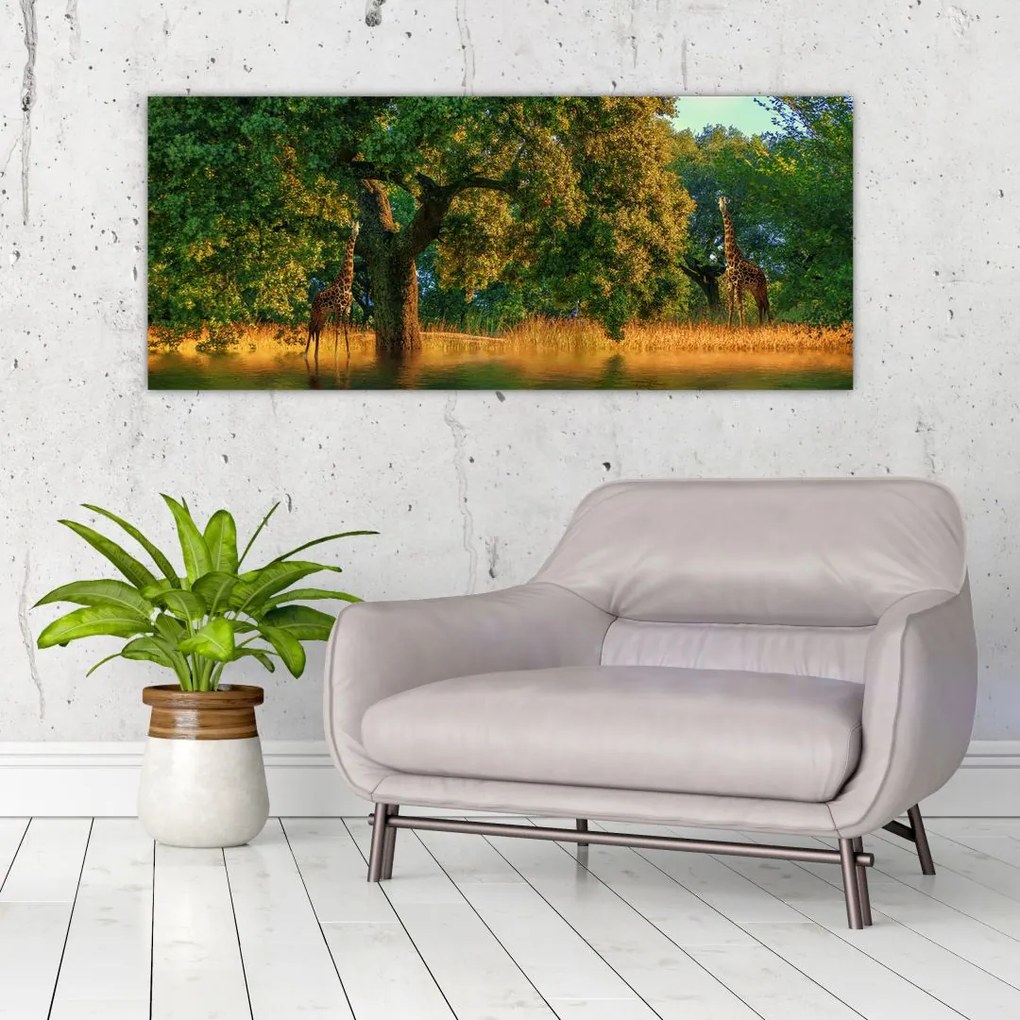 Tablou cu girafe în natură (120x50 cm)