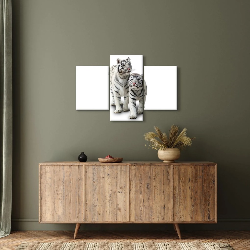 Tablou - Tigrul alb (90x60 cm)