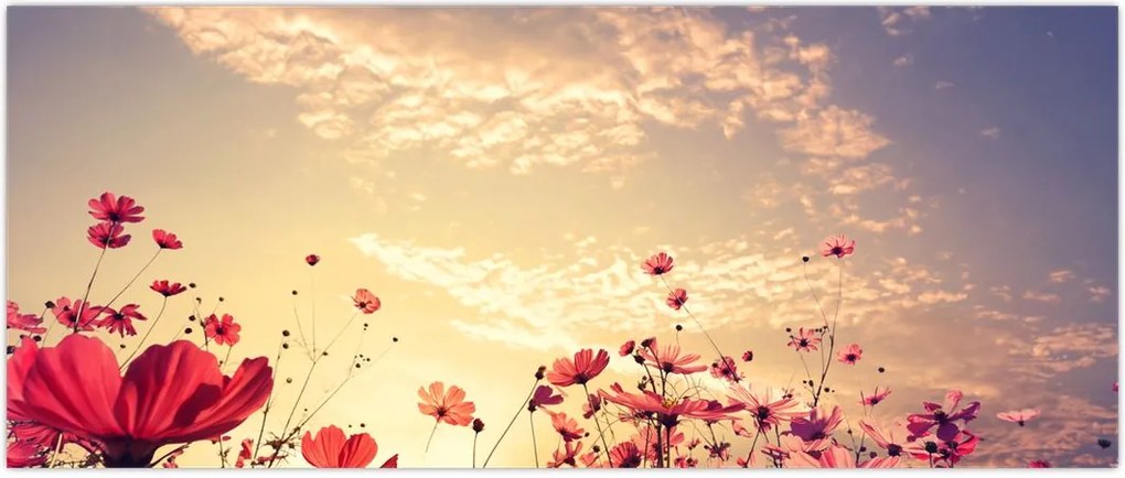 Tablou - Lunca cu flori (120x50 cm)