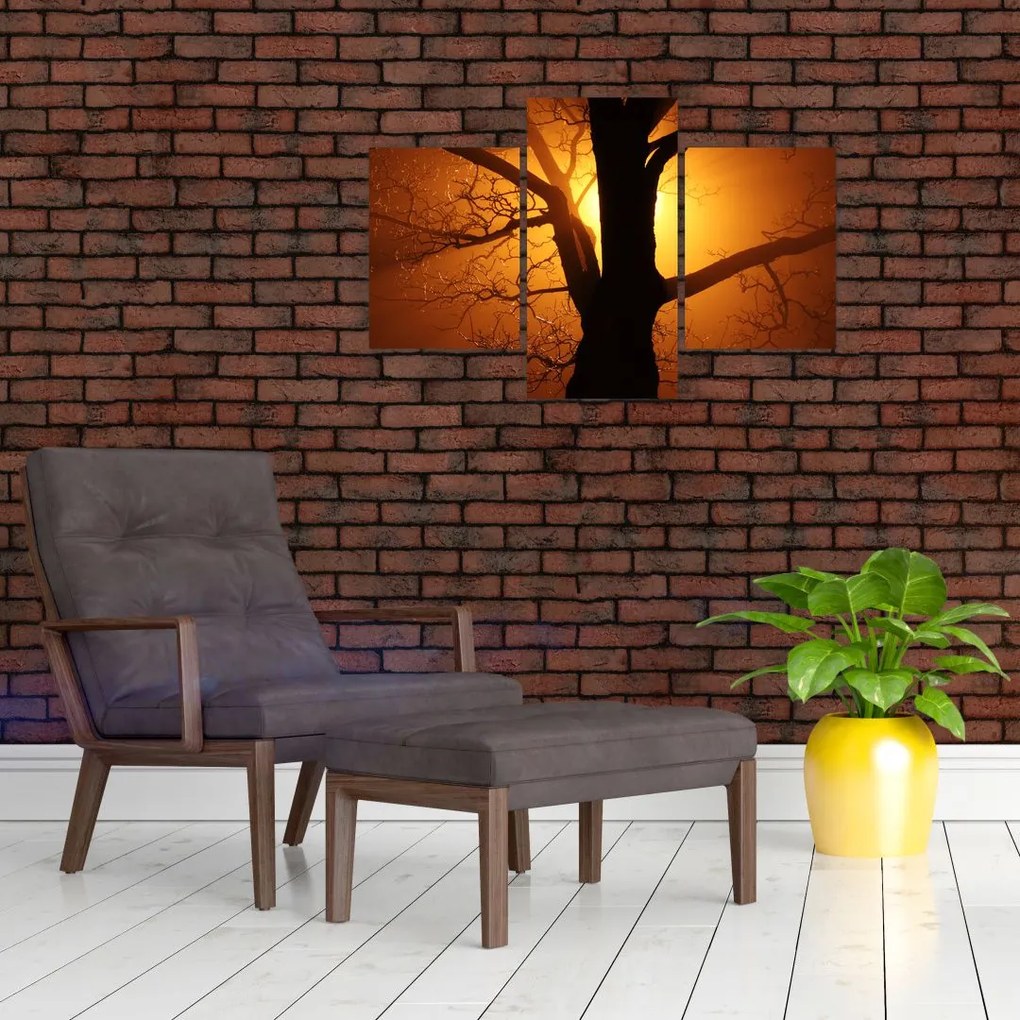 Tablou cu copac în apus de soare (90x60 cm)