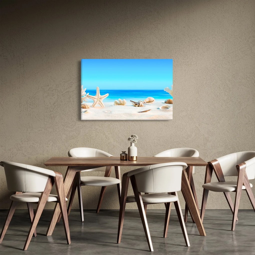 Tablou - Natura morta cu scoici (90x60 cm)