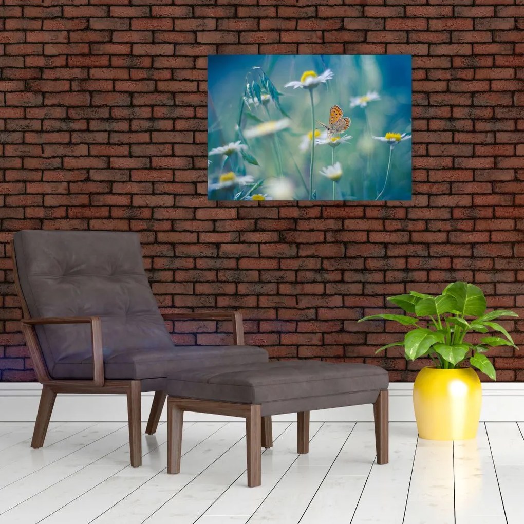 Tablou pe sticlă - Fluture pe margaretă (70x50 cm)