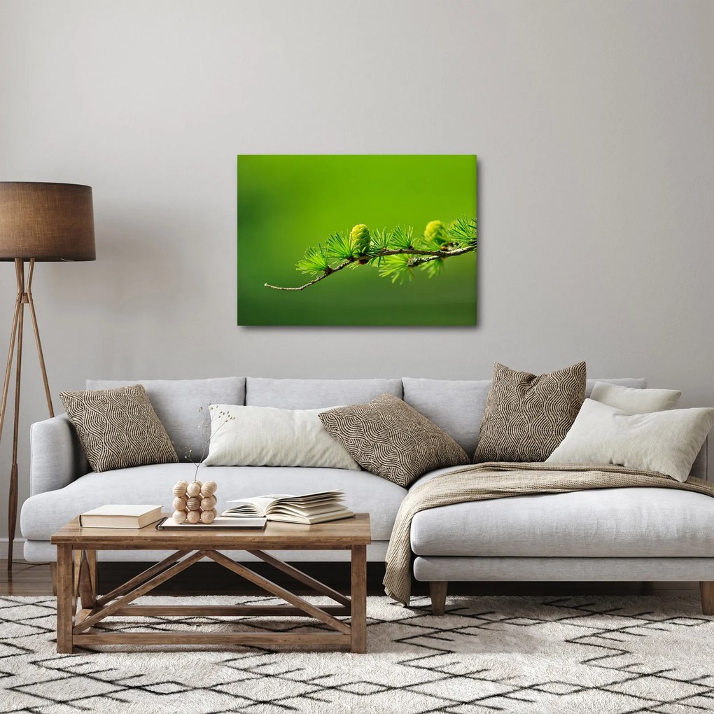 Tablou con verde (70x50 cm)