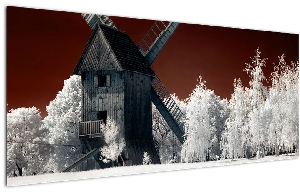Tablou cu moară (120x50 cm)