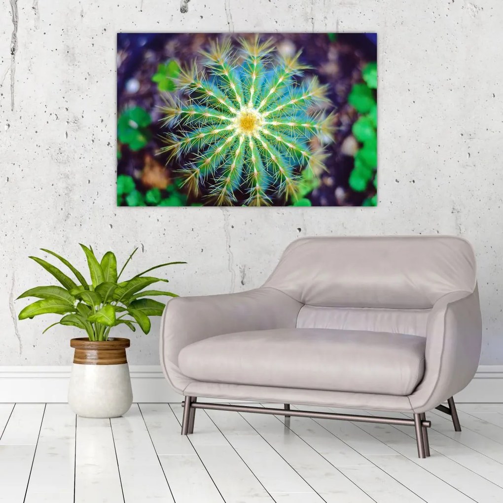 Tablou cu cactus (90x60 cm)