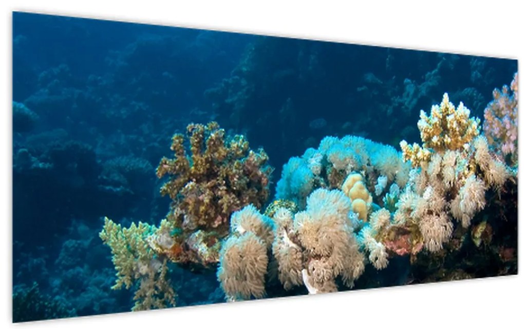Tablou - în ocean (120x50 cm)