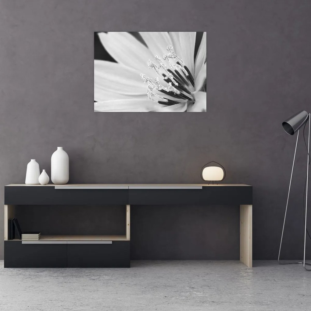Tablou pe sticlă - Floare albă și neagră (70x50 cm)