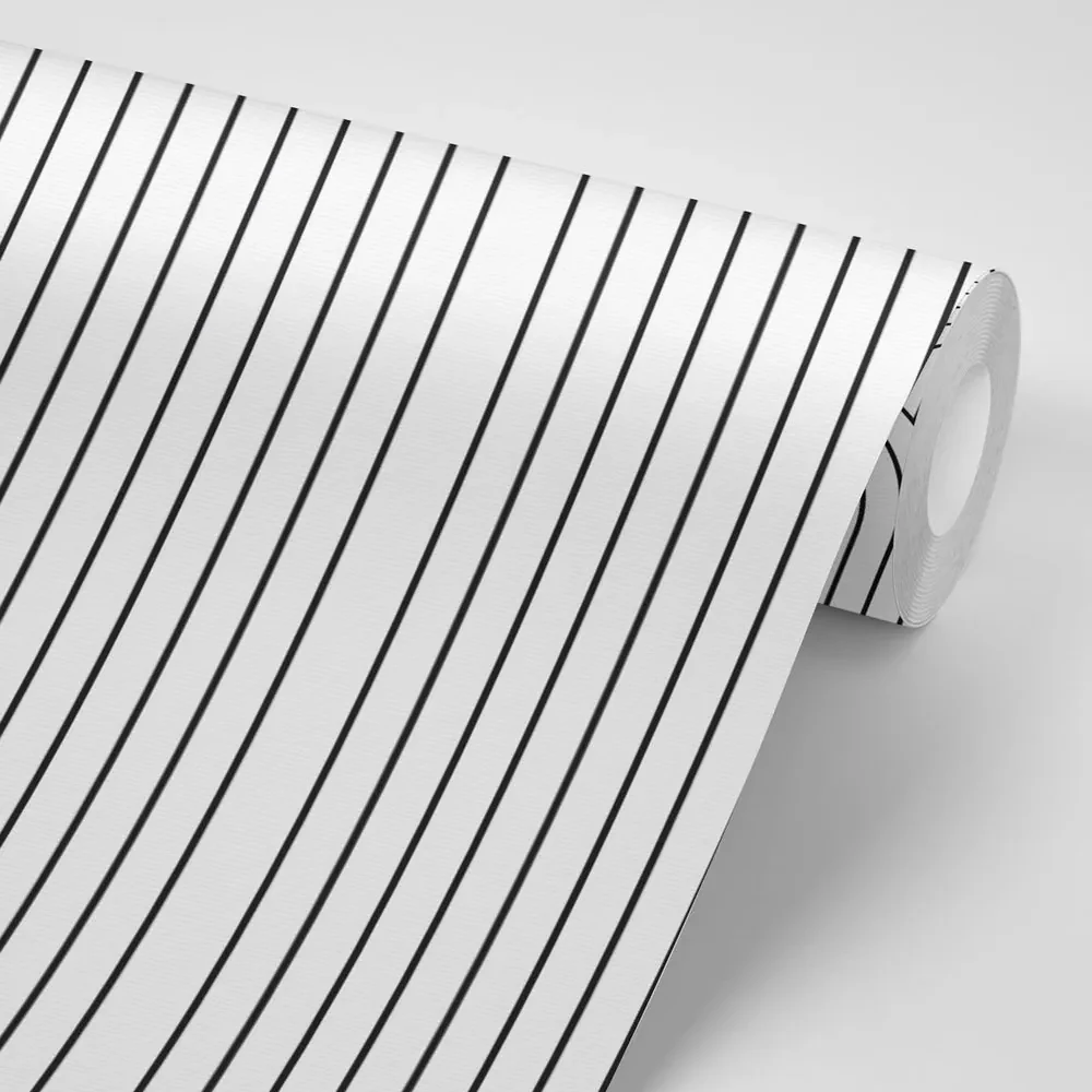 Tapet model de curcubeu în alb-negru Mid-Century