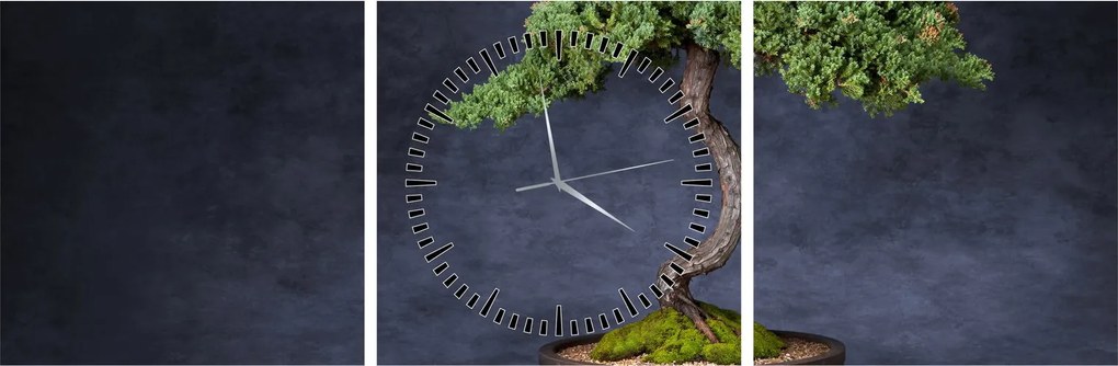 Tablou - Bonsai (cu ceas) (90x30 cm)