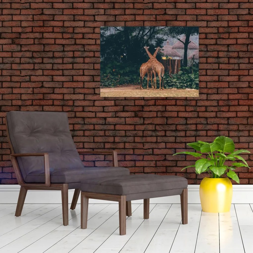 Tablou pe sticlă cu două girafe (70x50 cm)