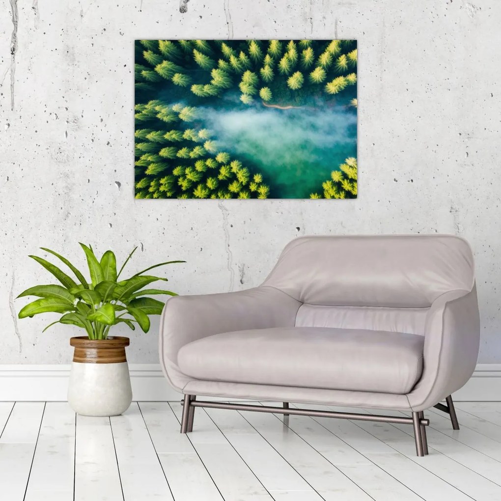Tablou pe sticlă - O pădure învăluită în ceață (70x50 cm)