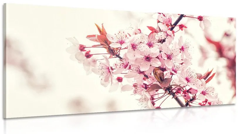 Tablou flori de cireșe roz