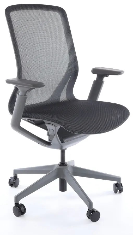 Scaun de birou Lareno, negru/gri