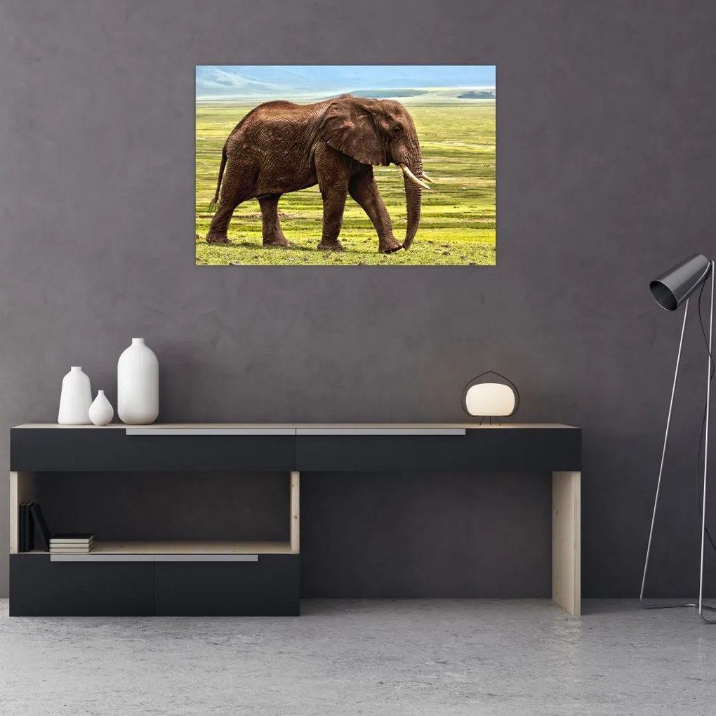 Tablou - Elefantul (90x60 cm)