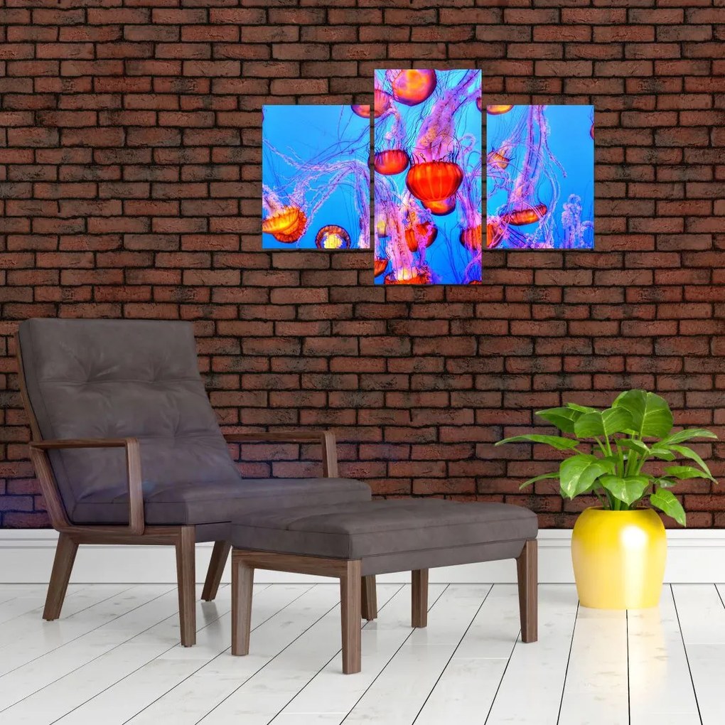 Tablou cu meduse în mare (90x60 cm)