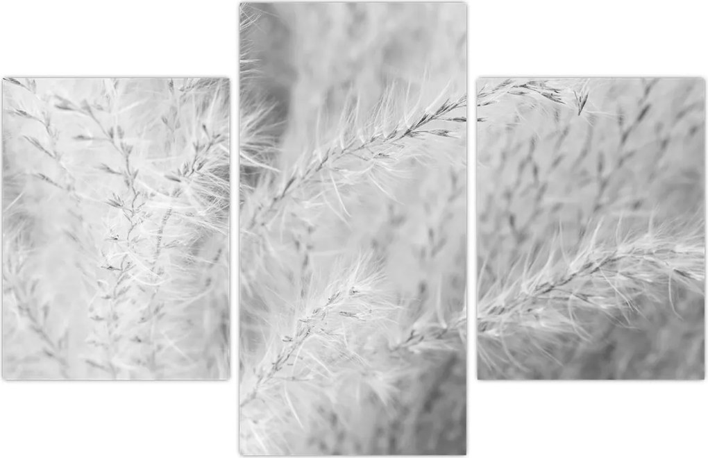 Tablou - Iarbă de pampas N⁰1 (90x60 cm)