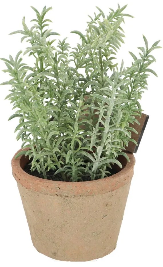 Plantă artificială (înălțime 21,5 cm) Thyme – Esschert Design