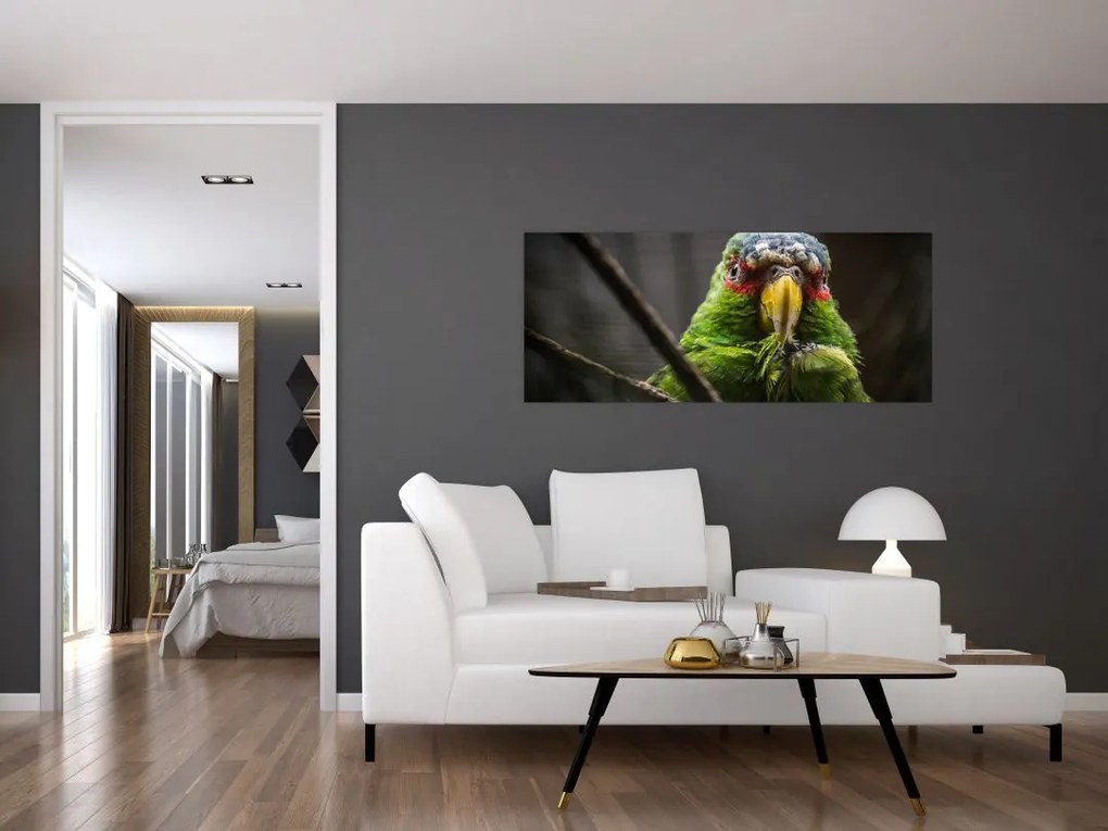 Tablou cu papagal (120x50 cm)