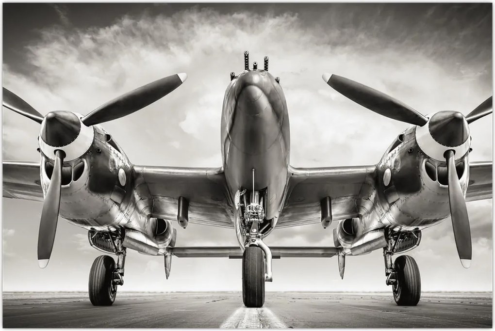 Tablou - Warbird (90x60 cm)