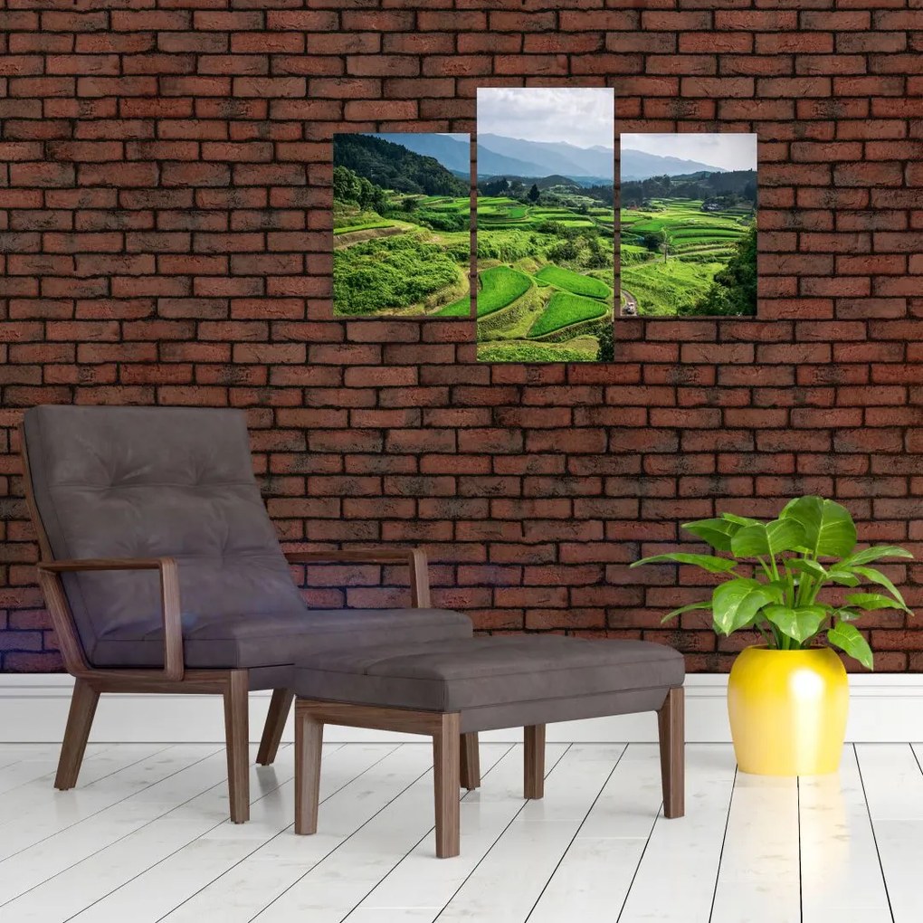 Tablou cu câmp de orez (90x60 cm)