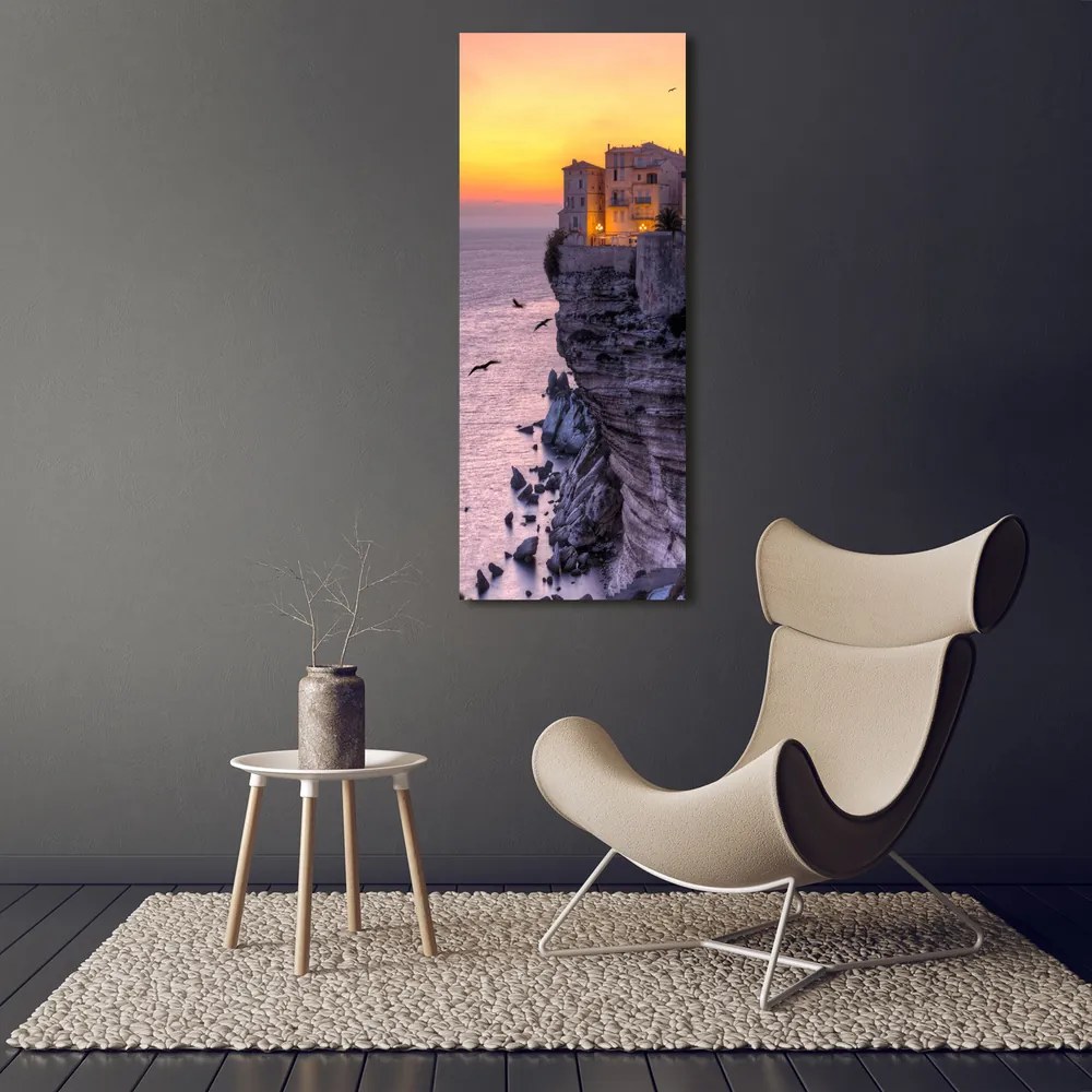 Imprimare tablou canvas Case pe stâncă