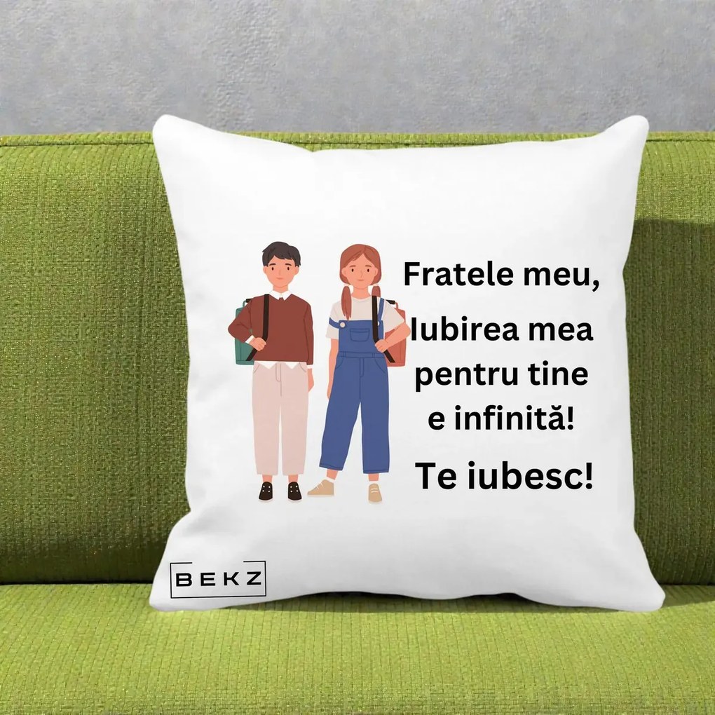 Cadou pentru Frate - Perna Personalizata Fratele Meu Te Iubesc Elevi Ilustratie Colorata, 40x40 cm, Alba Mata, Husa Detasabila, Perna Inclusa, BEKZ®