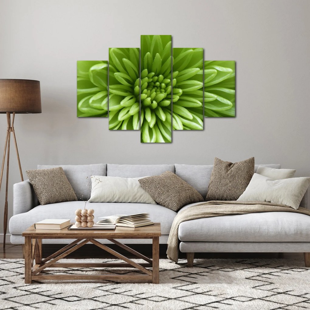 Tablou - Imagine macro a unei plante (150x105 cm)