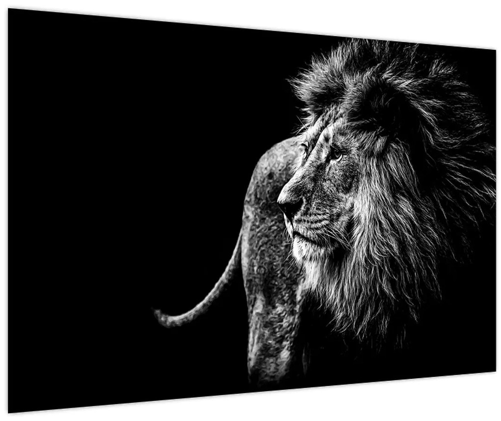 Tablou - Leu (90x60 cm)