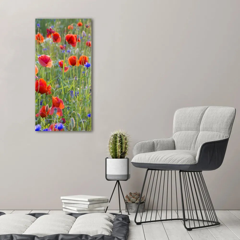 Print pe canvas Wildflowers maci