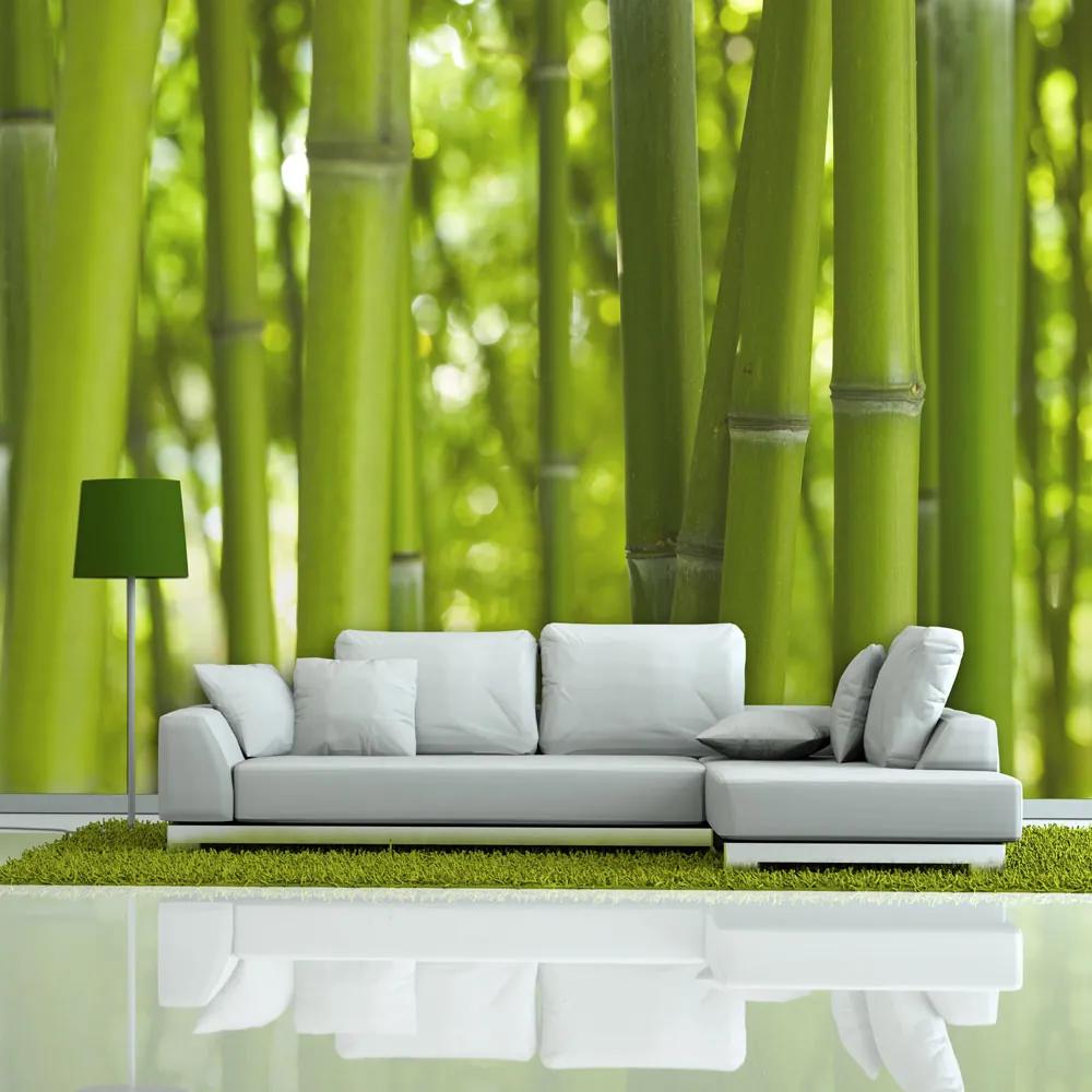 Fototapet Bimago - Green bamboo + Adeziv gratuit 200x154 cm