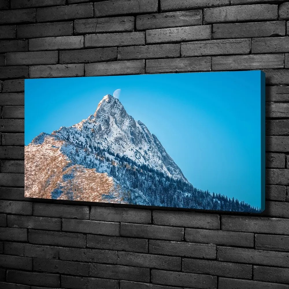 Tablou pe pânză canvas Tatra munții giewont