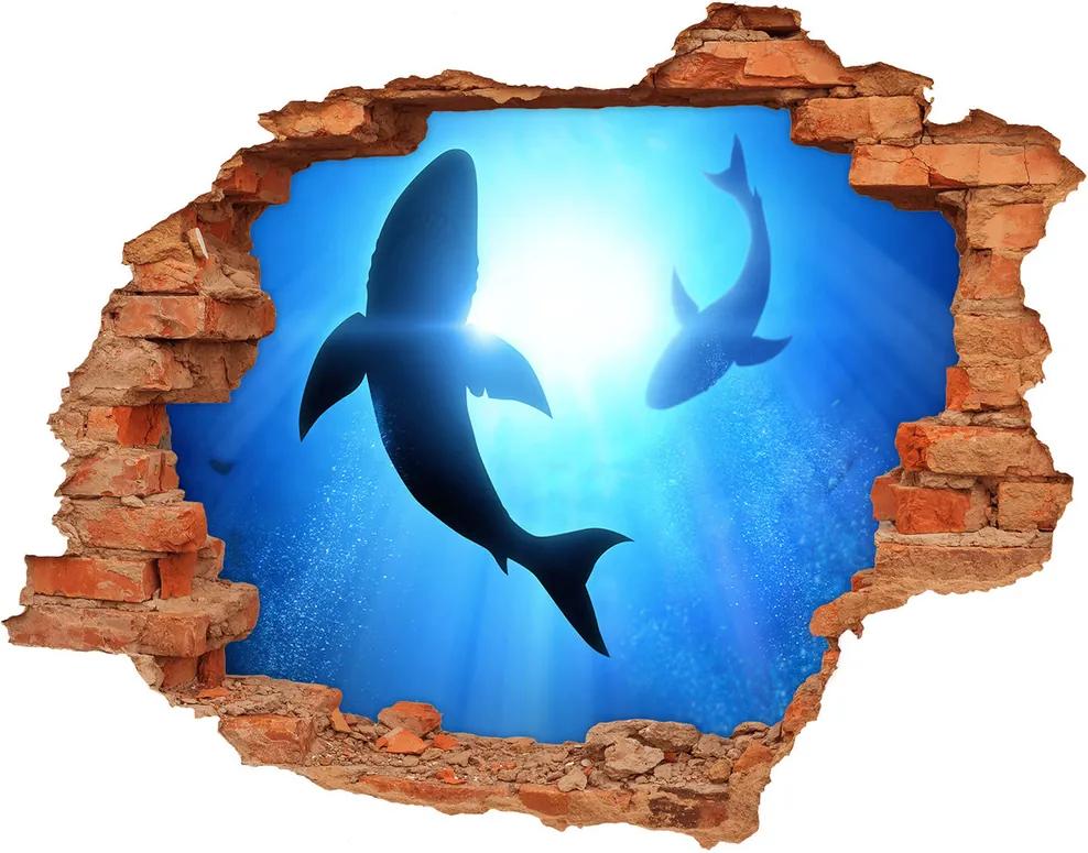 Autocolant de perete gaură 3D Doi rechini