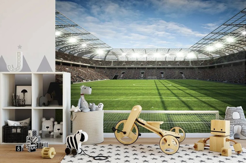 Fototapet - Stadion (152,5x104 cm)