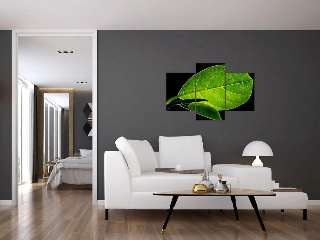 Tablou - frunză verde (90x60 cm)