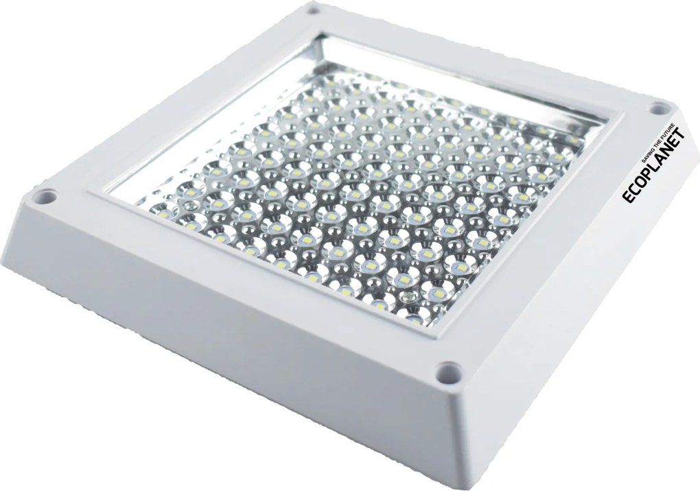 Plafoniera aplicata LED Ecoplanet, patrata 200x200mm, 6W, 540LM, lumina rece 6500k, sticla transparenta, alb Lumina rece - 6500K
