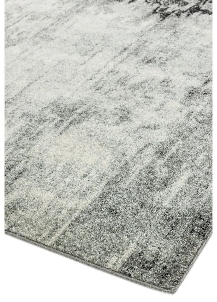 Covor gri 290x200 cm Nova - Asiatic Carpets