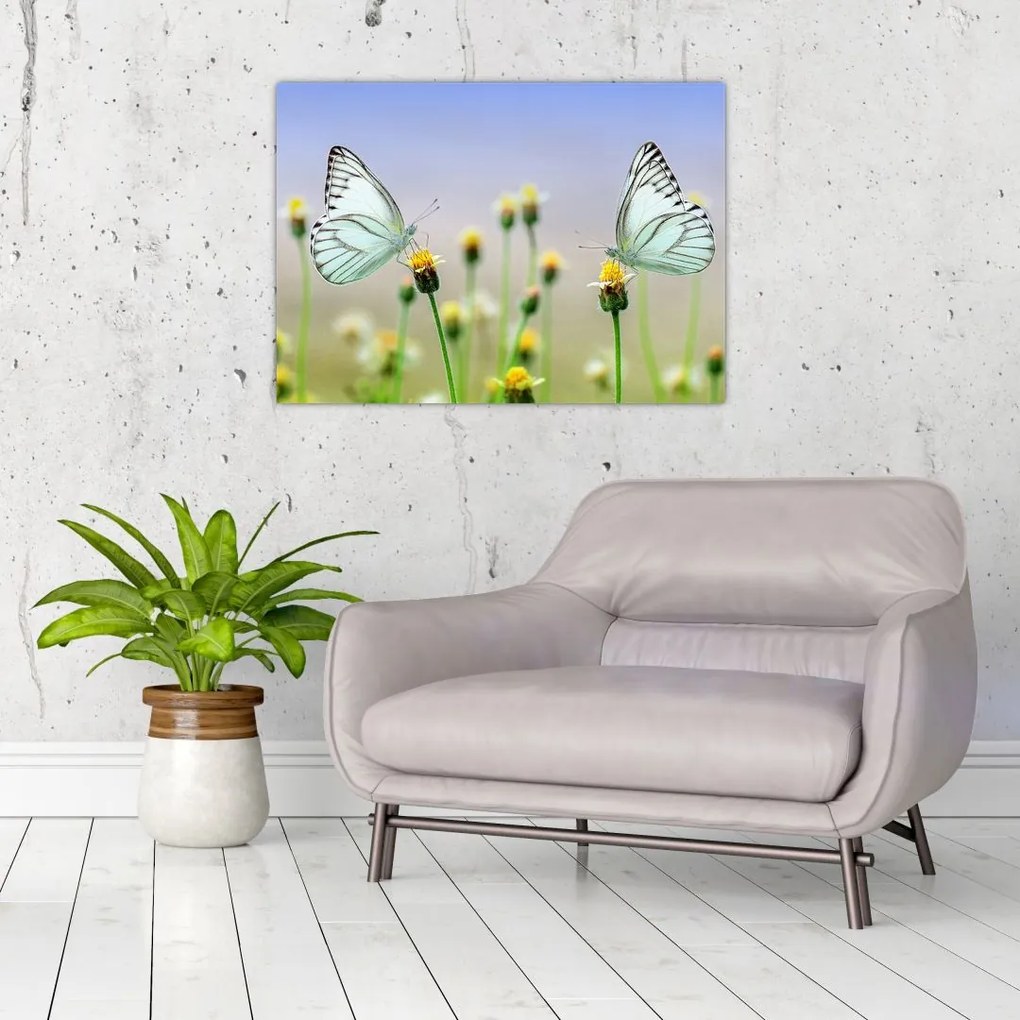Tablou pe sticlă cu fluture pe floare (70x50 cm)
