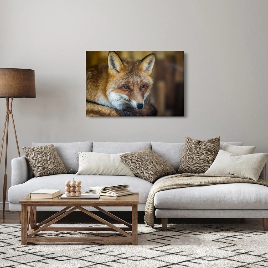 Tablou cu vulpe (90x60 cm)