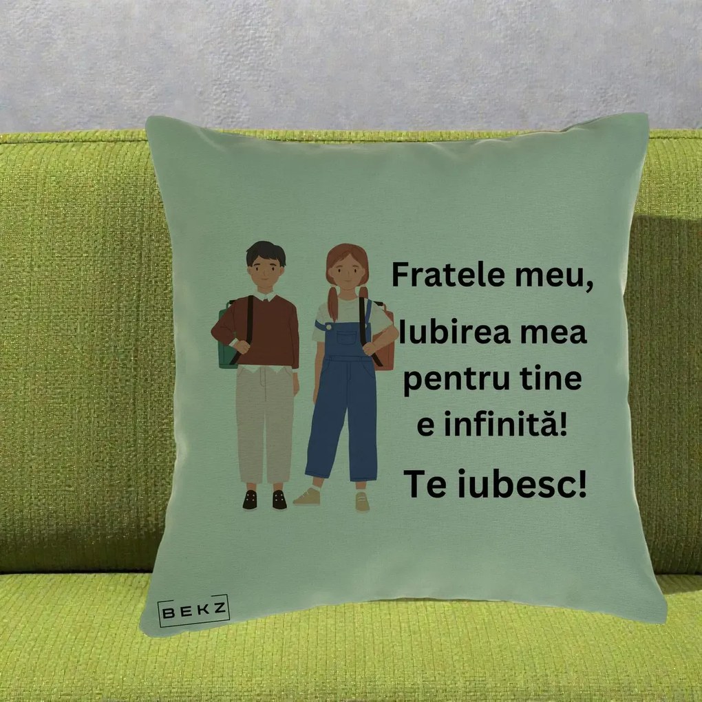 Cadou pentru Frate - Perna Personalizata Fratele Meu Te Iubesc Elevi Ilustratie Colorata, 40x40 cm, Verde, Husa Detasabila, Perna Inclusa, BEKZ®