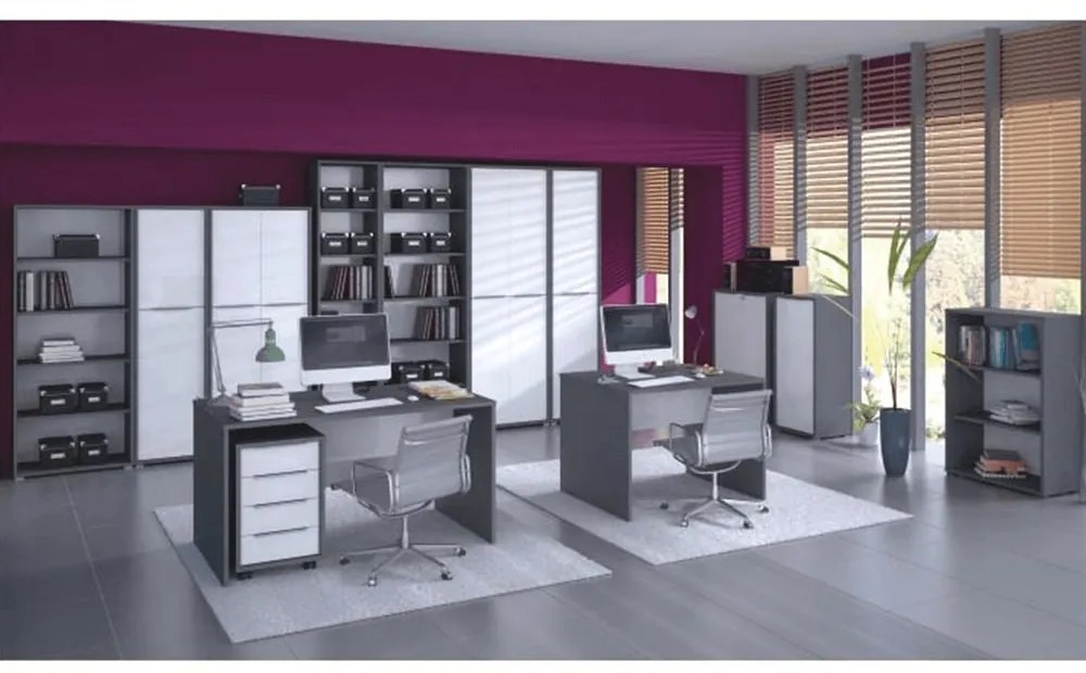 Dulap de birou cu lacăt Hamila NEW TYP 31 (grafit + alb). 1028789