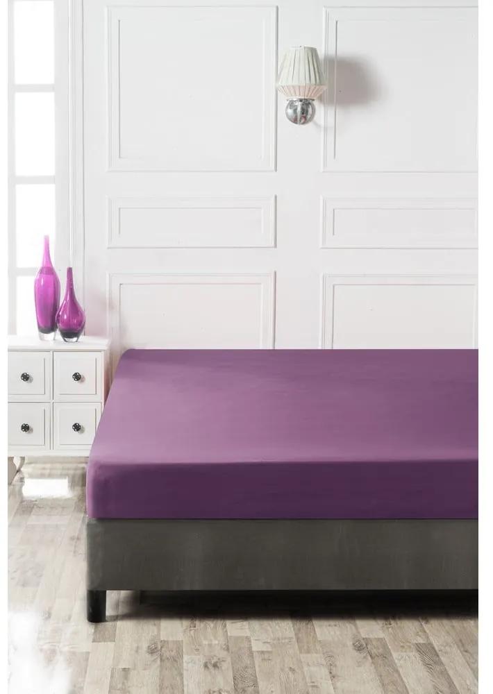 Cearceaf violet din bumbac cu elastic 160x200 cm - Mijolnir