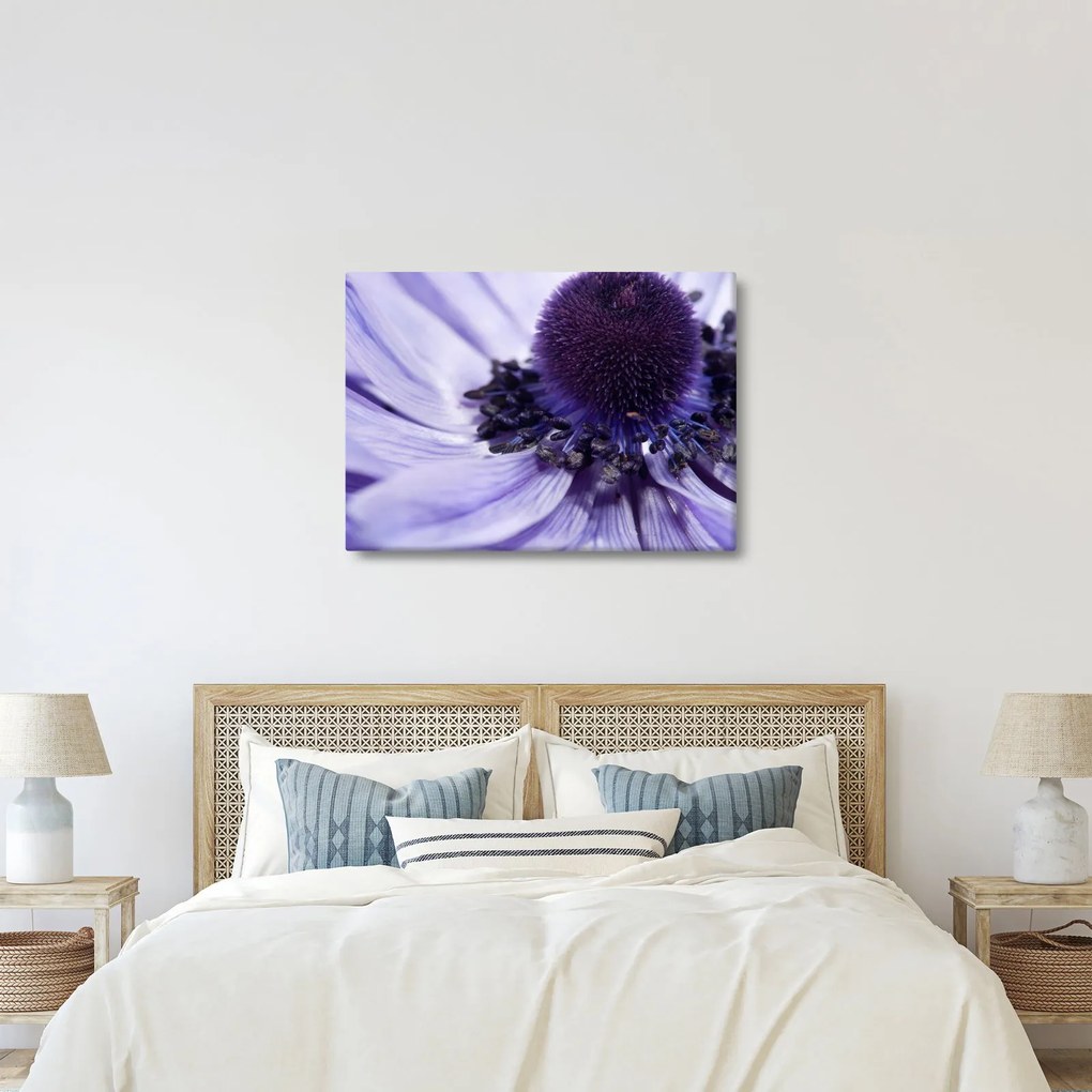 Tablou - Floare mov (70x50 cm)