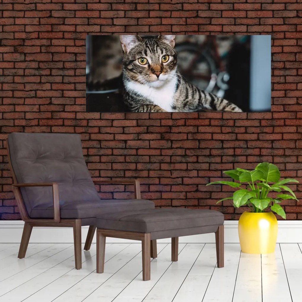 Tablou cu pisica (120x50 cm)