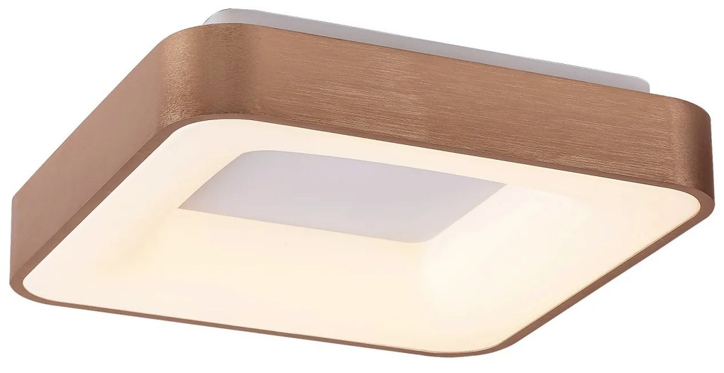 Plafoniera LED camera de zi, sufragerie, dormitor Carmella 5057 RX