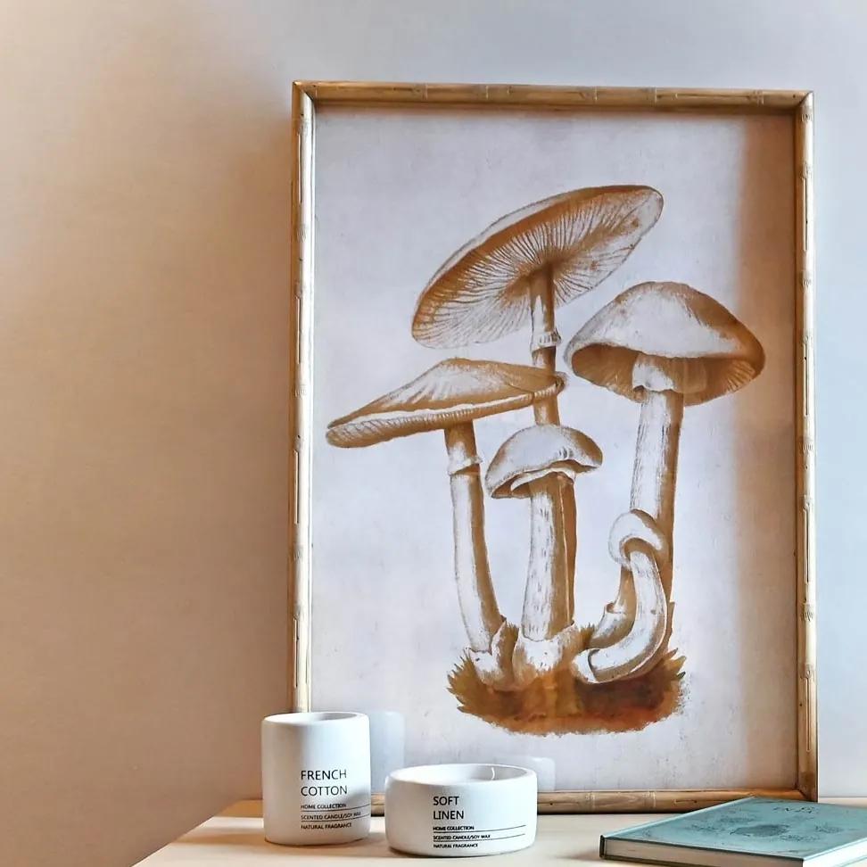 Tablou Mushrooms cu rama din lemn 50x80 cm - modele diverse